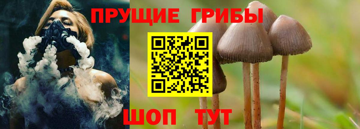 Псилоцибиновые грибы Psilocybine cubensis  Вход с VPN  закладка  Ликино-Дулёво 